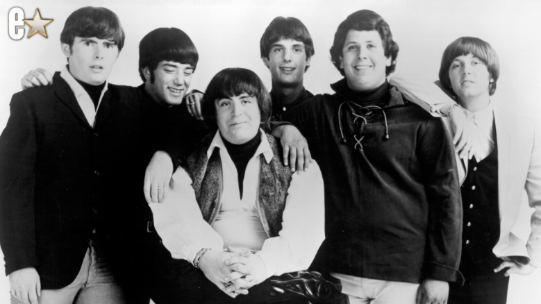 'The Turtles'