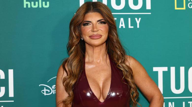 Teresa Giudice, Melissa Gorga, The Real Housewives of New Jersey, RHONJ,
