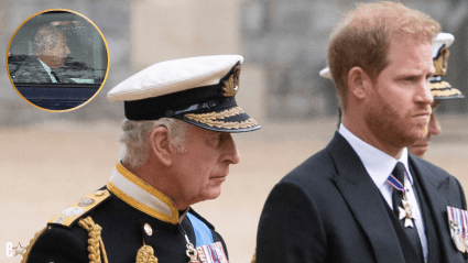 Prince Harry Reunites with King Charles After More Than a Year: DETAILS