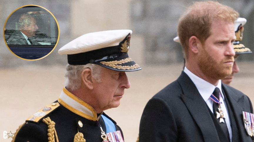 prince-harry-king-charles-reunion-18-months