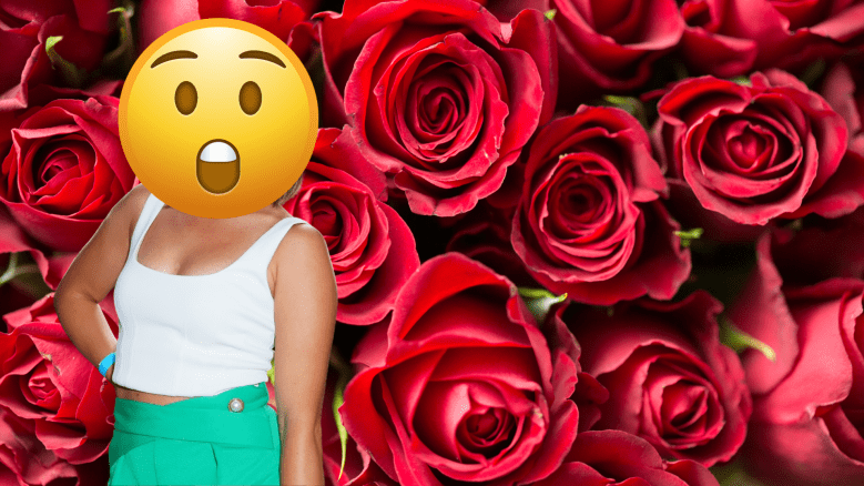 The Bachelorette