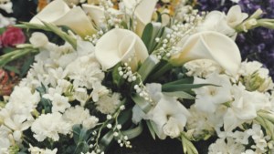 white flowers laid out