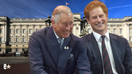 Prince Harry Reveals His Next Steps with King Charles