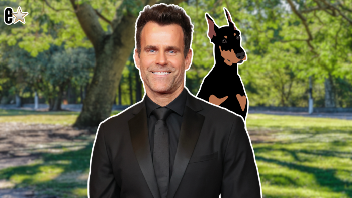 Cameron Mathison
