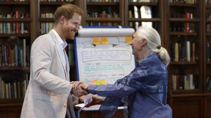 Prince Harry & Meghan Markle Honor Jane Goodall After Her Death