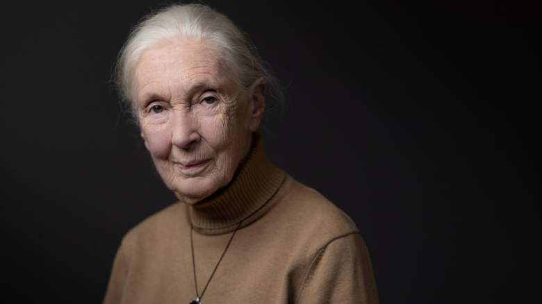 Jane Goodall