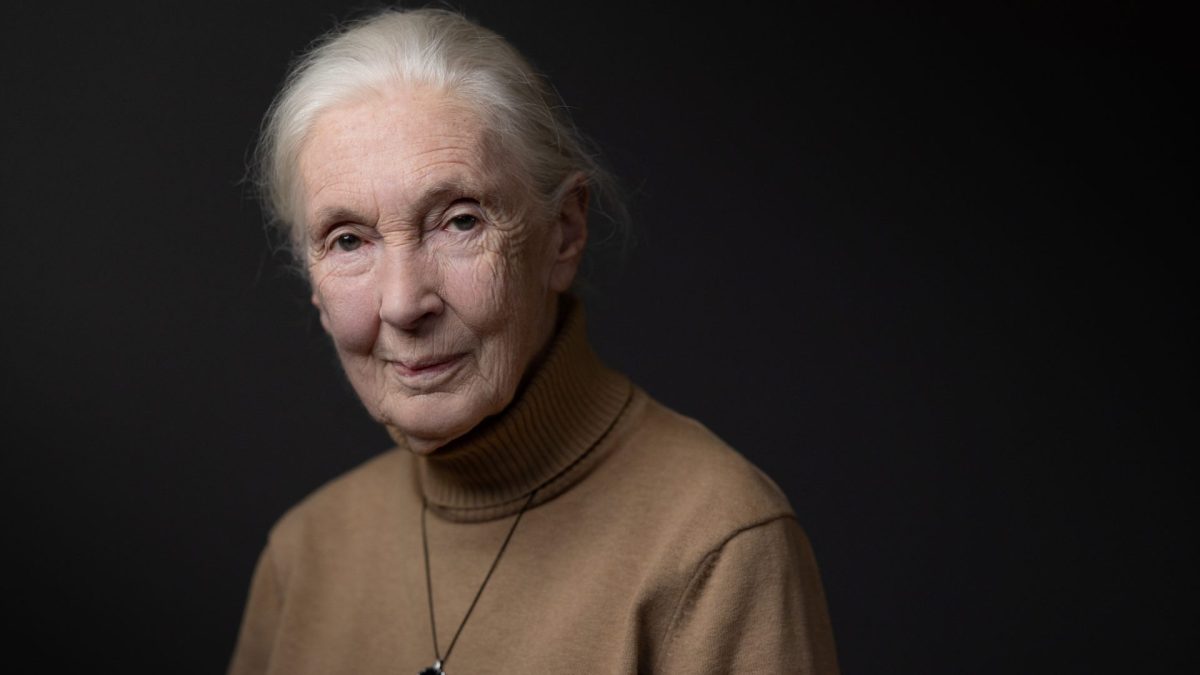 Jane Goodall