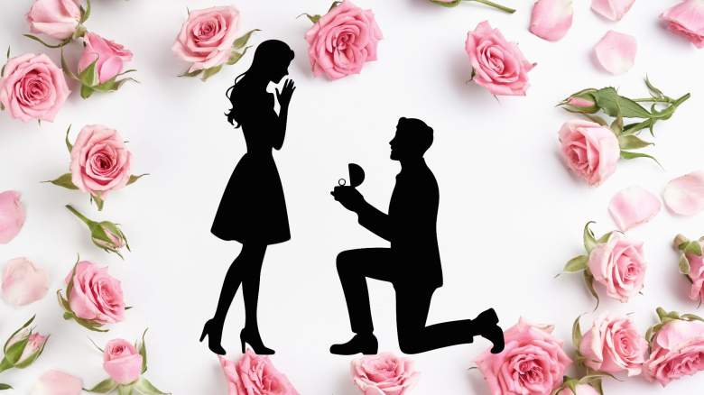 Bachelor Engagement