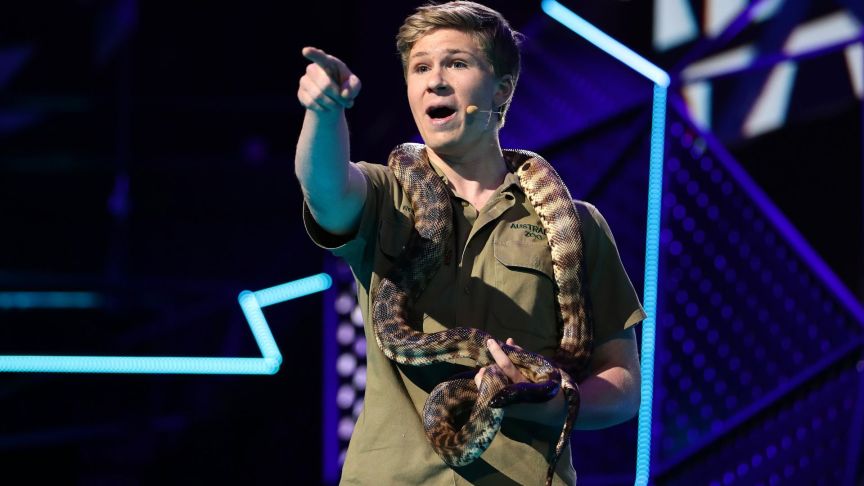 Robert Irwin