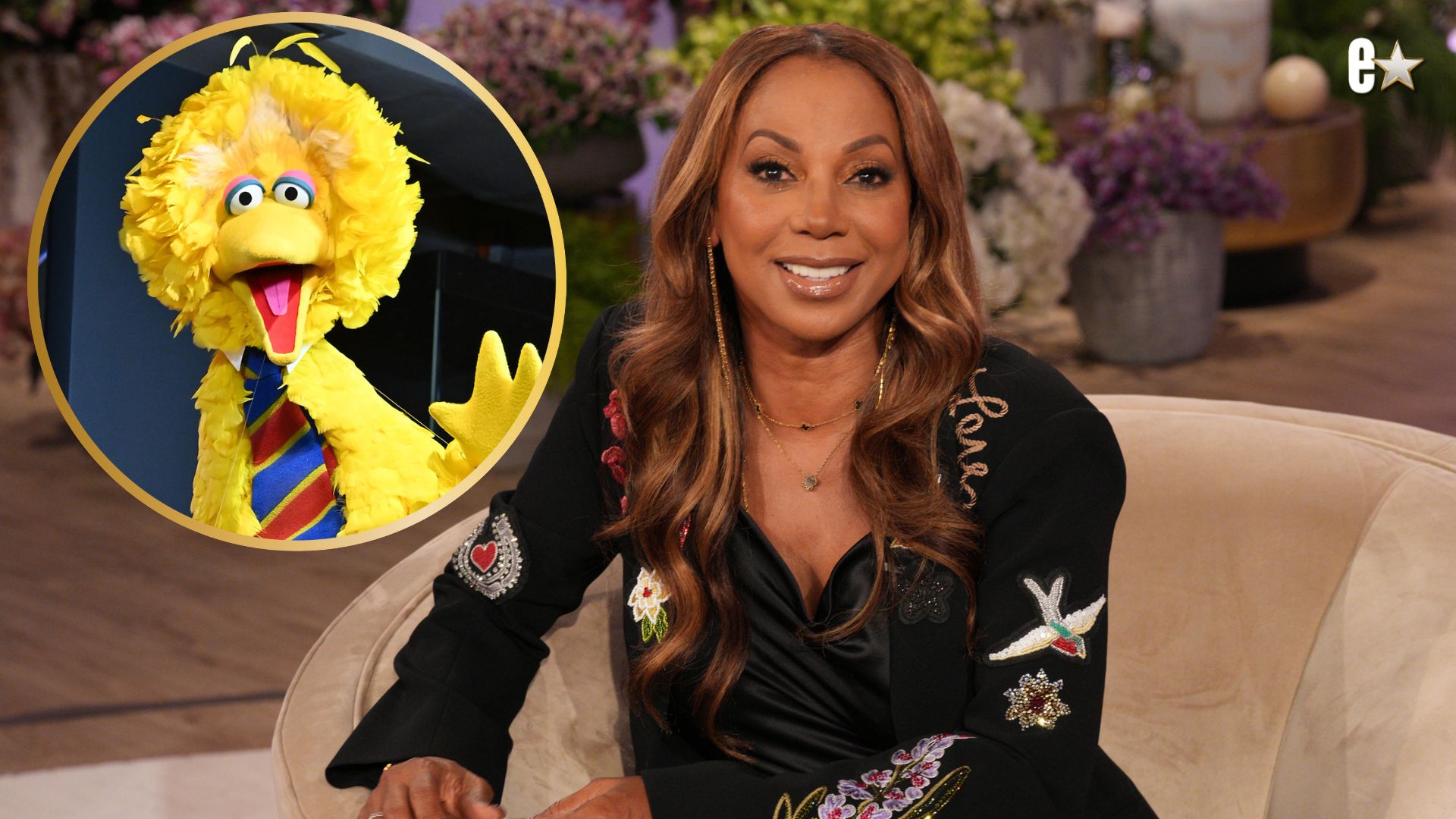Big Bird, Holly Robinson Peete