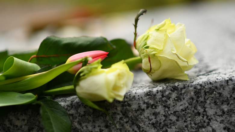 white roses on a grave