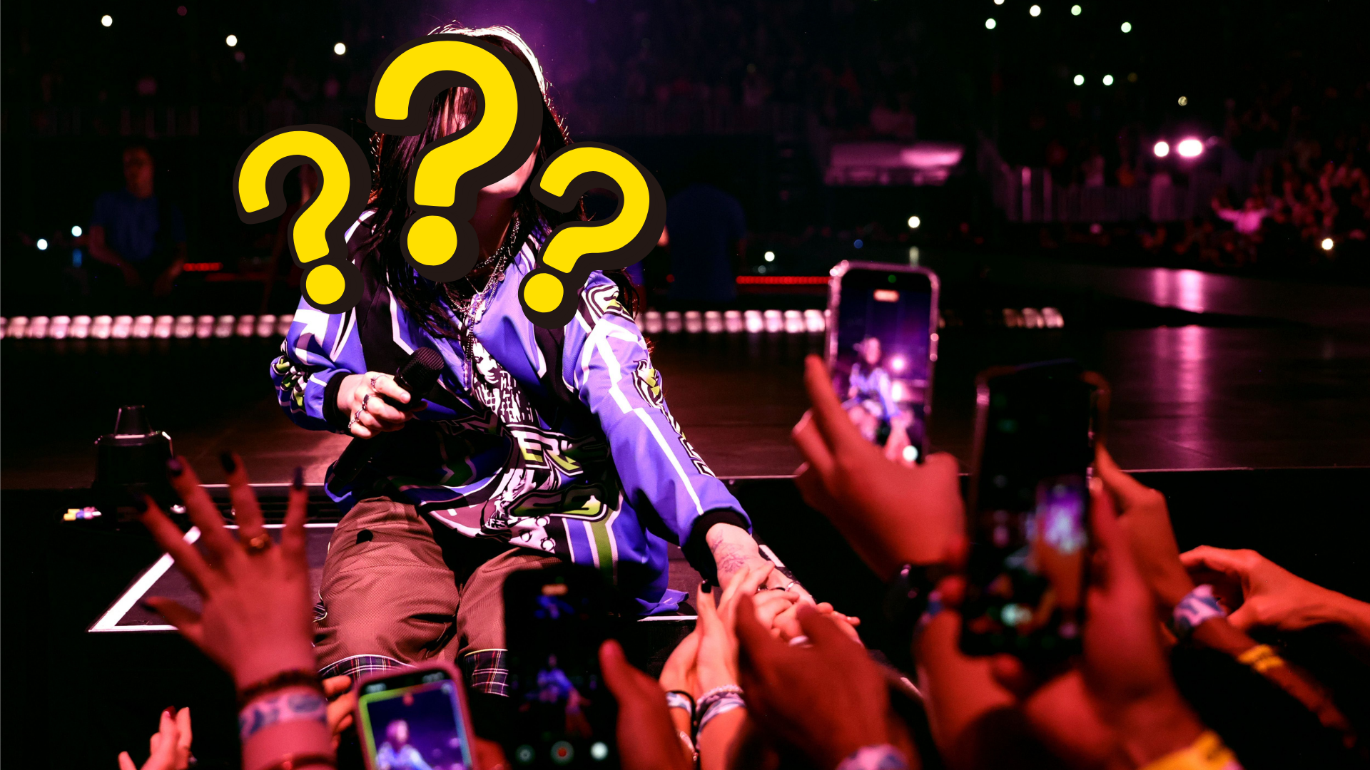 Billie Eilish grabbed by fan video