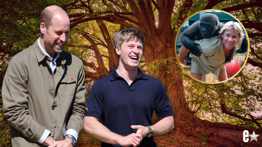 Prince William tribute to Steve Irwin