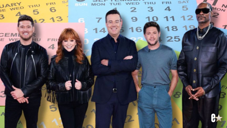 The Voice coaches