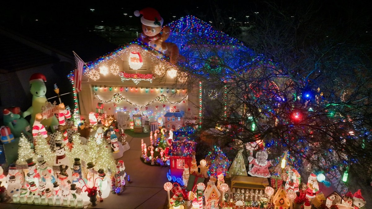 THE GREAT CHRISTMAS LIGHT FIGHT