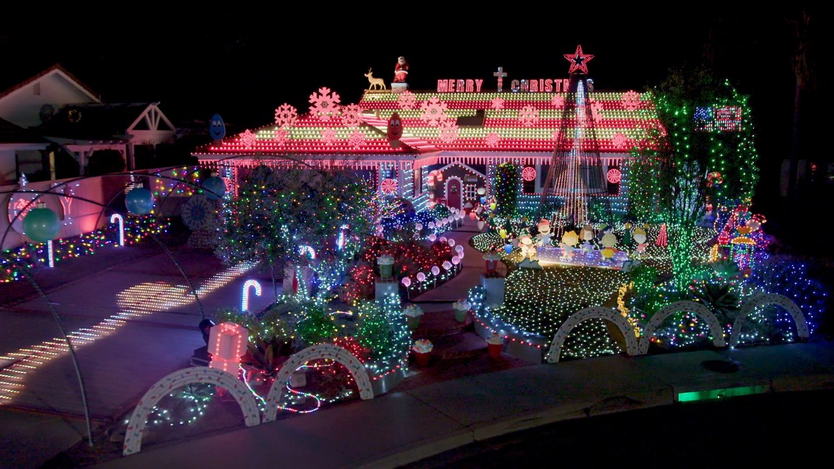 THE GREAT CHRISTMAS LIGHT FIGHT