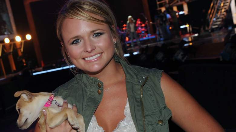 miranda lambert dog