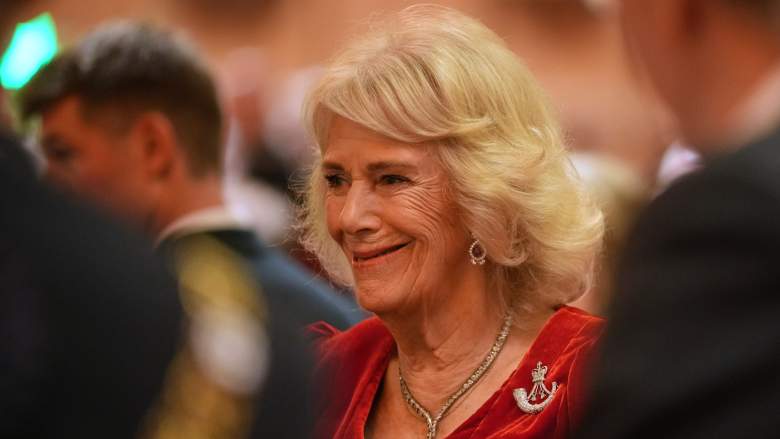 Queen Camilla, Colonel-in-Chief The Rifles and Royal Colonel 4th Battalion The Ranger Regiment, smiles while she talks to guests