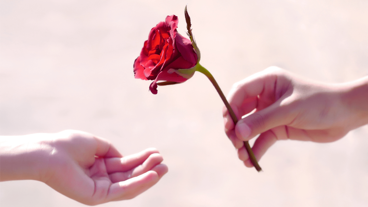 Giving a Rose