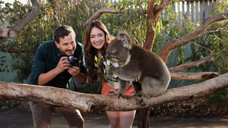 Ryan Corr and Mallory Jansen