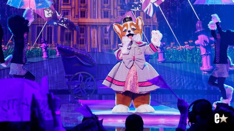 Queen Corgi