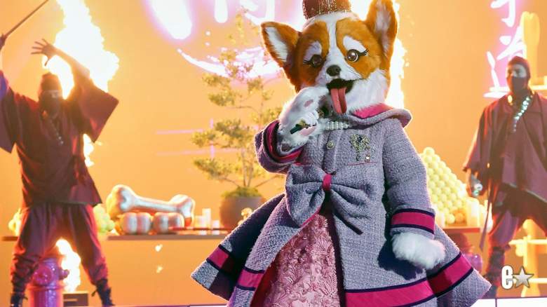 Queen Corgi
