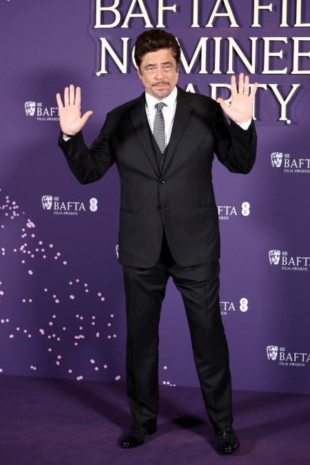 Benicio del Toro