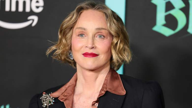 Sharon Stone poses for photos at an event