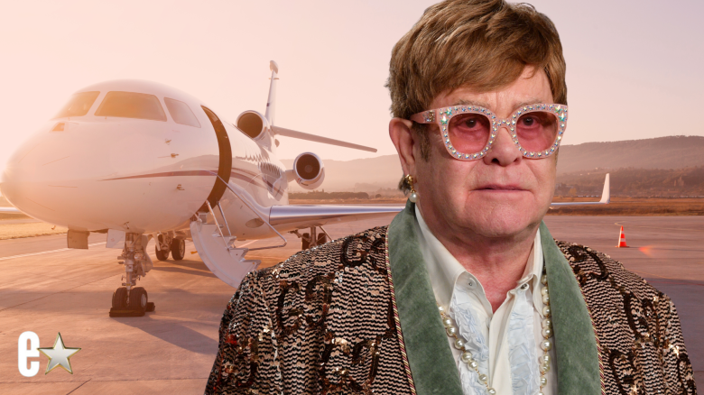 Sir Elton John plane bird strike