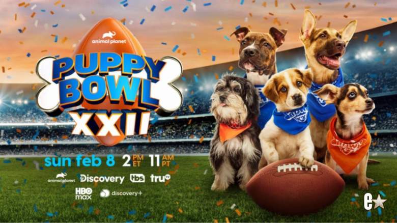 Puppy Bowl 2026