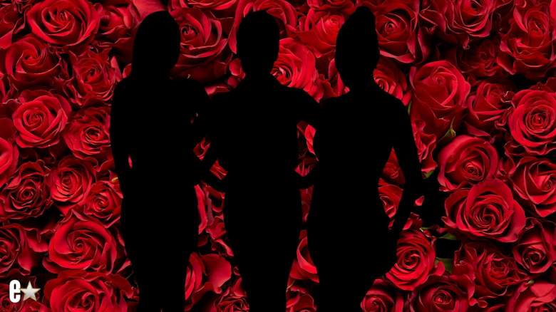 The Bachelor