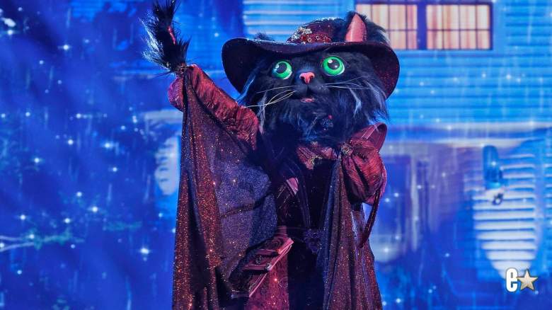 Cat Witch