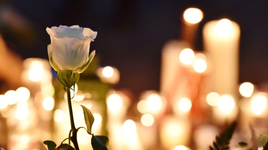 A flower and candles for Alexander Kluge.