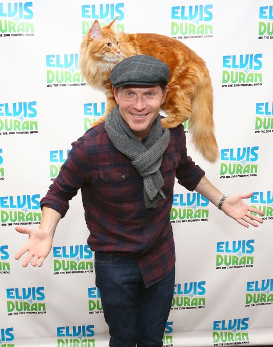 Bobby Flay, Nacho Flay (cat)