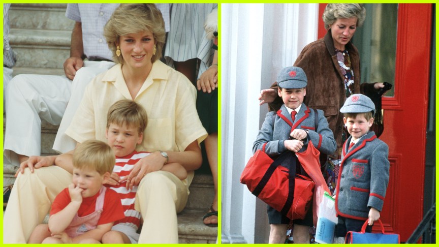 Prince William Shares Rare Photo of Princess Diana