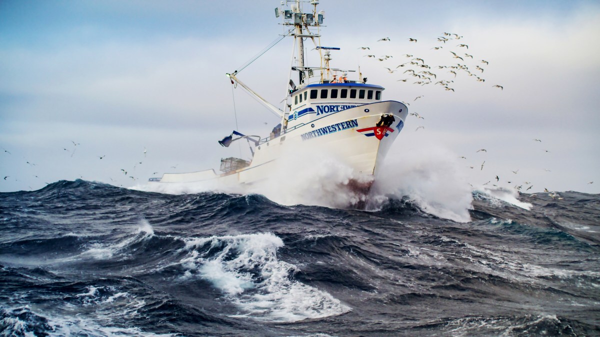 Northwestern out at sea, breaking wave, flock of birds around the wheelhouse