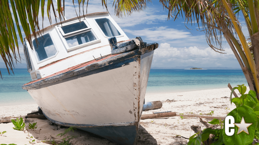 Cruise Ship Runs Aground on 'Survivor' Island Days Before Season 51 Filming Begins