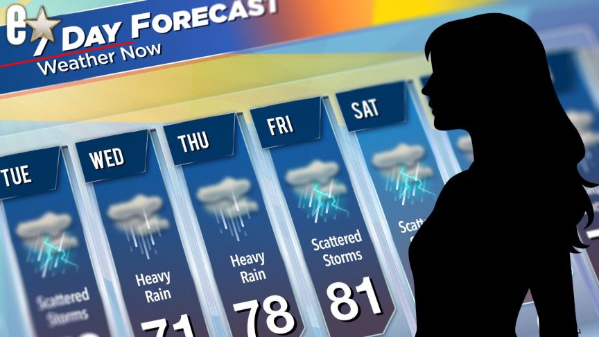 Texas meteorologist Diamond Dickson