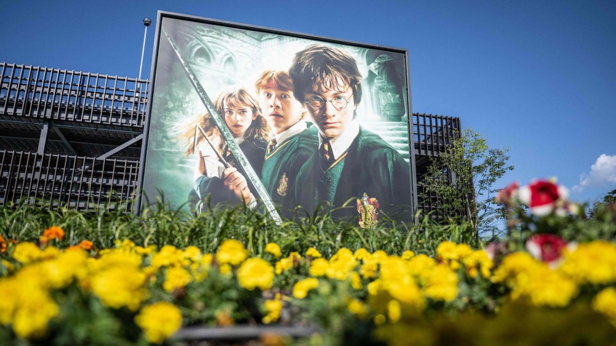 Harry Potter