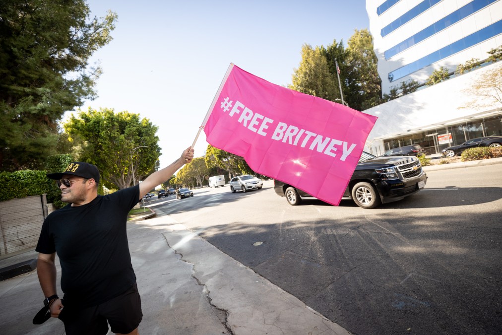 #FreeBritney rally