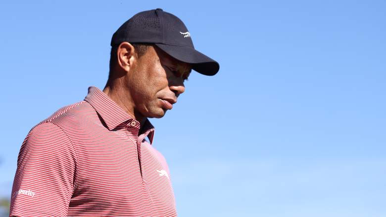 tiger woods