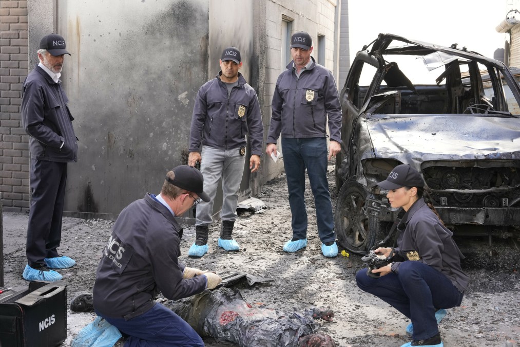 Gary Cole, Wilmer Valderrama, Sean Murray, Brian Dietzen, Katrina Law