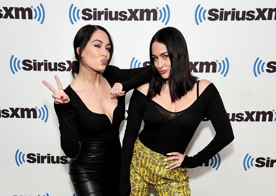 Brie and Nikki Bella