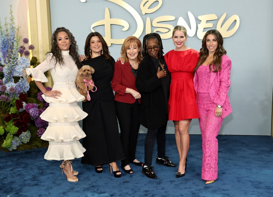 Joy Behar The View
