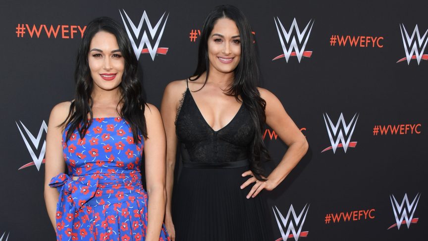 Brie and Nikki Bella