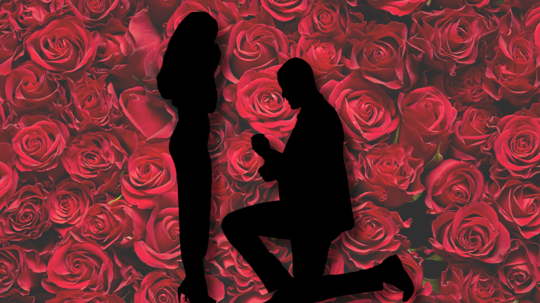 The Bachelor
