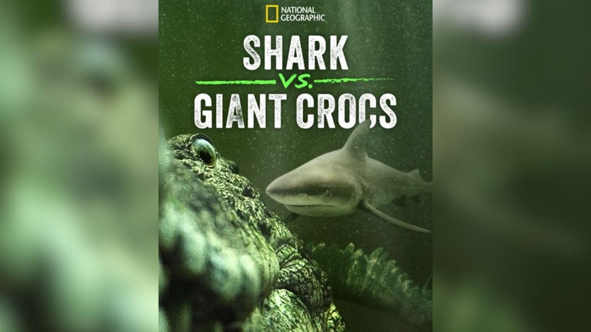 Shark vs Giant Croc