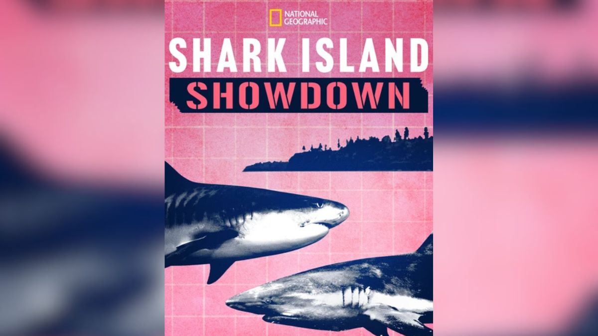 Shark Island Showdown