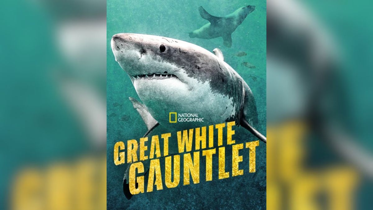 Great White Gauntlet