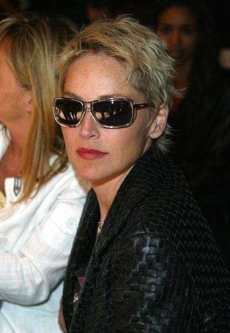 Actress Sharon Stone